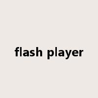 flash player是什么意思