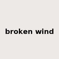 broken wind是什么意思