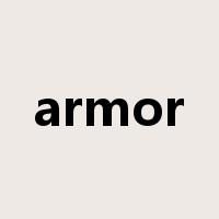 armor是什么意思