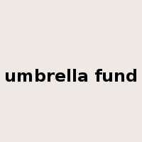 umbrella fund是什么意思