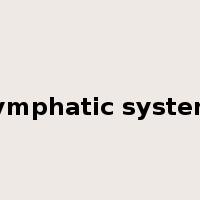 lymphatic system是什么意思