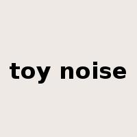 toy noise是什么意思