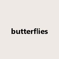 butterflies是什么意思