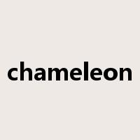 chameleon是什么意思