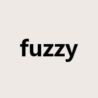 fuzzy是什么意思