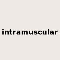 intramuscular是什么意思