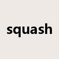 squash是什么意思