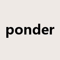 ponder是什么意思