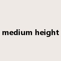 medium height是什么意思