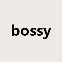 bossy是什么意思