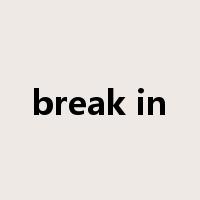 break in是什么意思