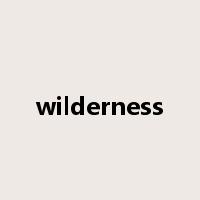 wilderness是什么意思