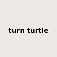 turn turtle是什么意思