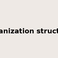 organization structure是什么意思