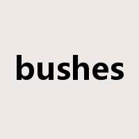 bushes是什么意思