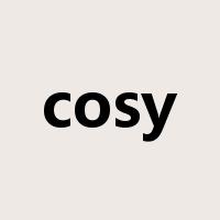 cosy是什么意思