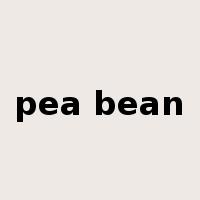 pea bean是什么意思