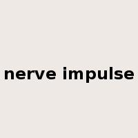 nerve impulse是什么意思