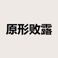 原形败露是什么意思