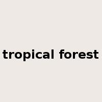 tropical forest是什么意思