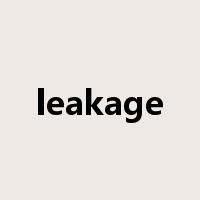 leakage是什么意思