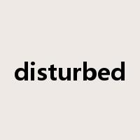 disturbed是什么意思