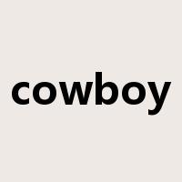 cowboy是什么意思