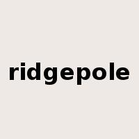 ridgepole是什么意思