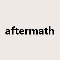 aftermath是什么意思