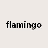 flamingo是什么意思