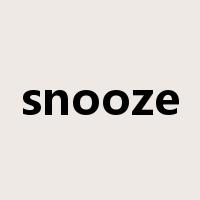 snooze是什么意思