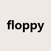 floppy是什么意思