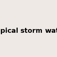 tropical storm watch是什么意思