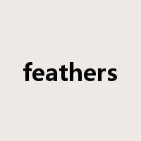 feathers