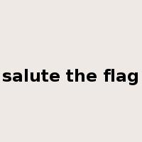 salute the flag是什么意思