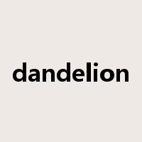 dandelion是什么意思