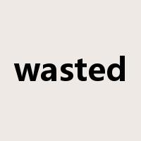 wasted是什么意思