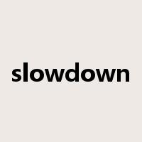 slowdown是什么意思