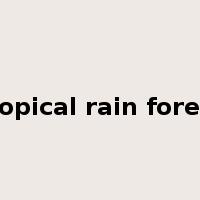 tropical rain forest是什么意思