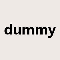 dummy是什么意思