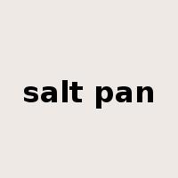 salt pan是什么意思