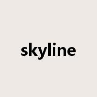 skyline是什么意思