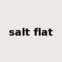 salt flat是什么意思