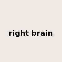 right brain是什么意思