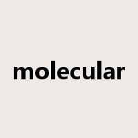 molecular是什么意思