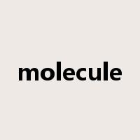 molecule是什么意思