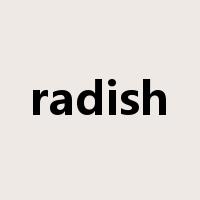 radish是什么意思