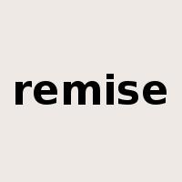 remise是什么意思