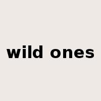 wild ones是什么意思