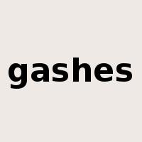 gashes是什么意思